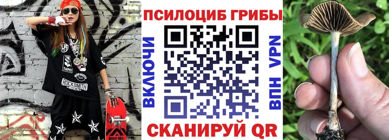 Псилоцибиновые грибы Psilocybe  Кимовск 